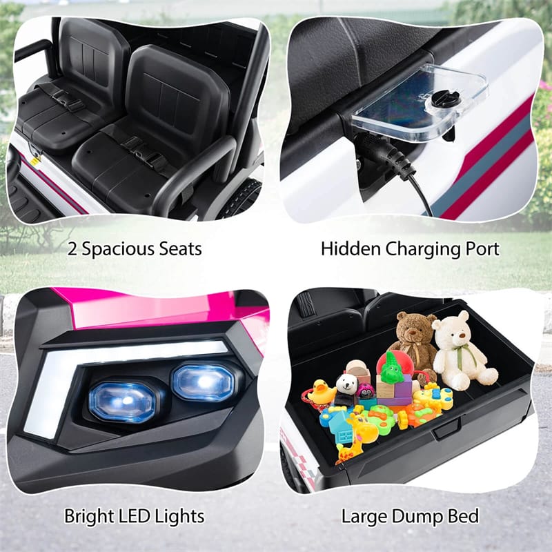 24V 4WD 2-Seater Kids Golf Cart with Sun Shade, Storage Trunk & Remote Control, LED Lights, Electric Ride on Toy Car for Boys Girls Ages 3+