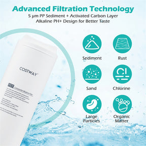 Replacement PCT Filter for AW-RB20 AW-RB05 RO System, Alkaline PH+ Composite Water Filter Cartridge, Twist-in Installation, 12-Month Lifespan