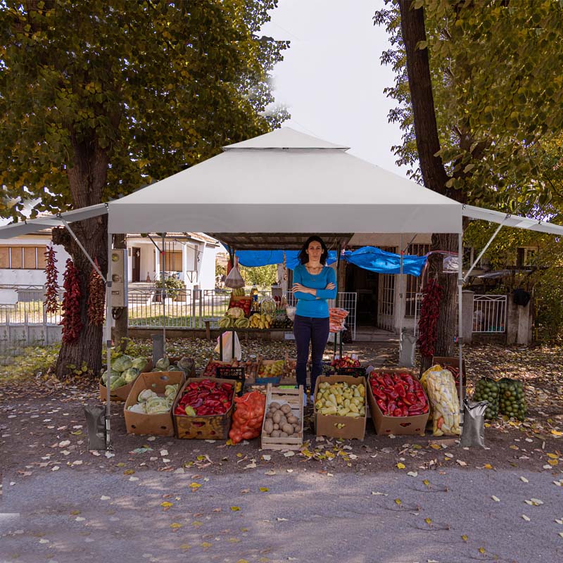10 x 17.6 FT Instant Pop-up Canopy Tent with Adjustable Dual Awnings & Portable Wheeled Bag, UPF 50+ Outdoor Gazebo Shelter for Market, Picnic