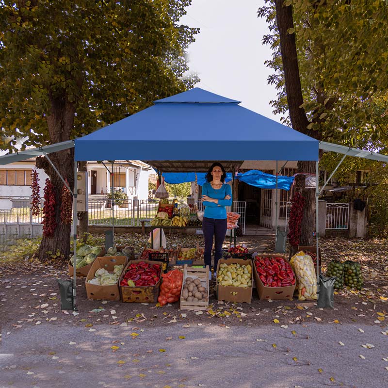 10 x 17.6 FT Instant Pop-up Canopy Tent with Adjustable Dual Awnings & Portable Wheeled Bag, UPF 50+ Outdoor Gazebo Shelter for Market, Picnic