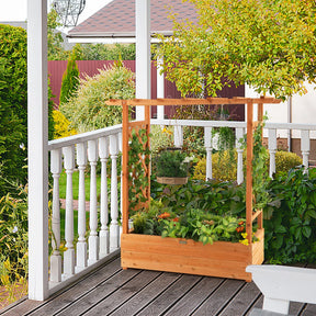 Raised Garden Bed with Arch Trellis & Hanging Roof, Freestanding Fir Wood Elevated Planter Box with Drainage Holes for Climbing Plants Flowers Vines