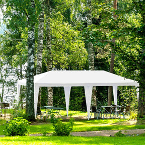 10 x 20 FT Outdoor Canopy Tent Heavy Duty Wedding Party Tent with 4 Removable Sidewalls & Carry Bag